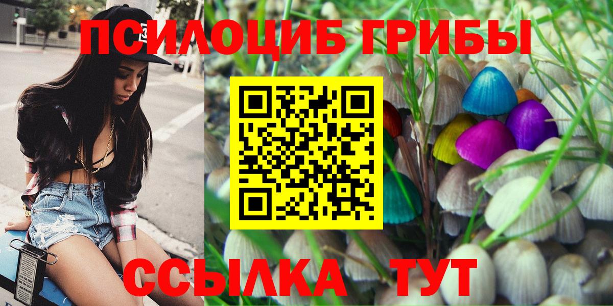 Галлюциногенные грибы MAGIC MUSHROOMS  Вход с VPN  Саяногорск 